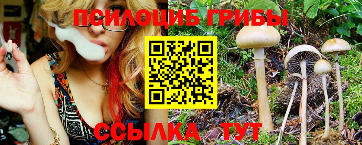 Галлюциногенные грибы мухоморы  Вход с VPN  Галлюциногенные грибы мицелий  Спасск-Дальний 